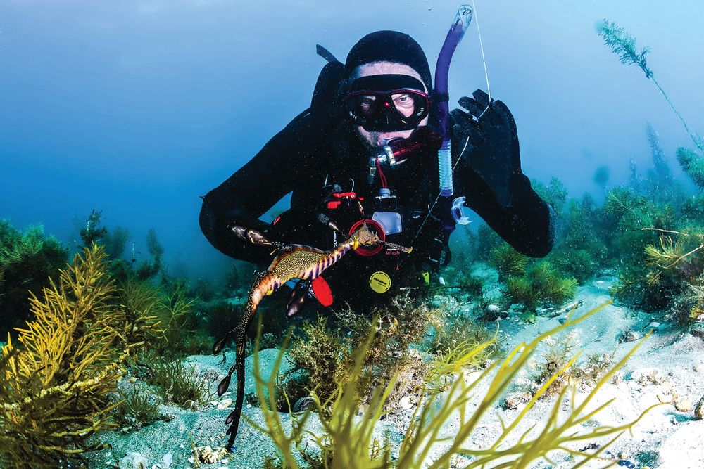 Diving in, deeply post image