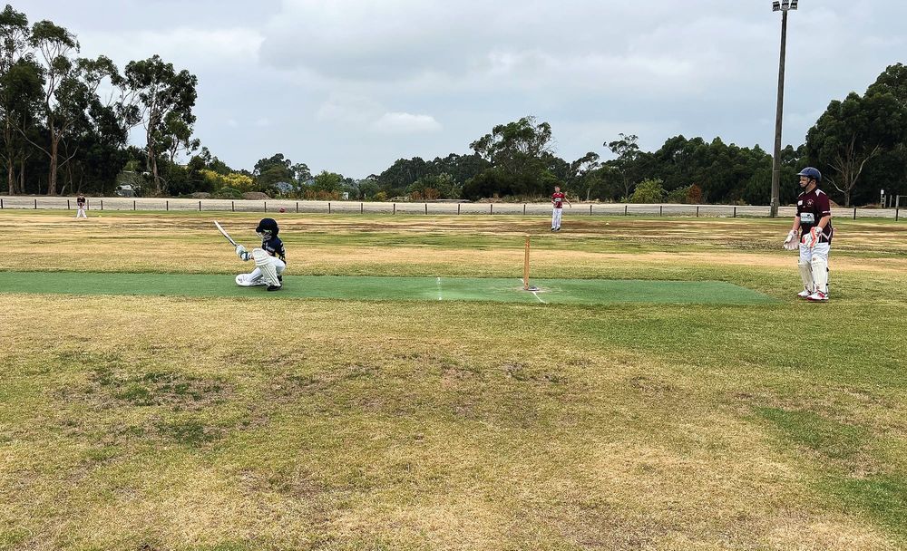 Strong show by Sharks post image