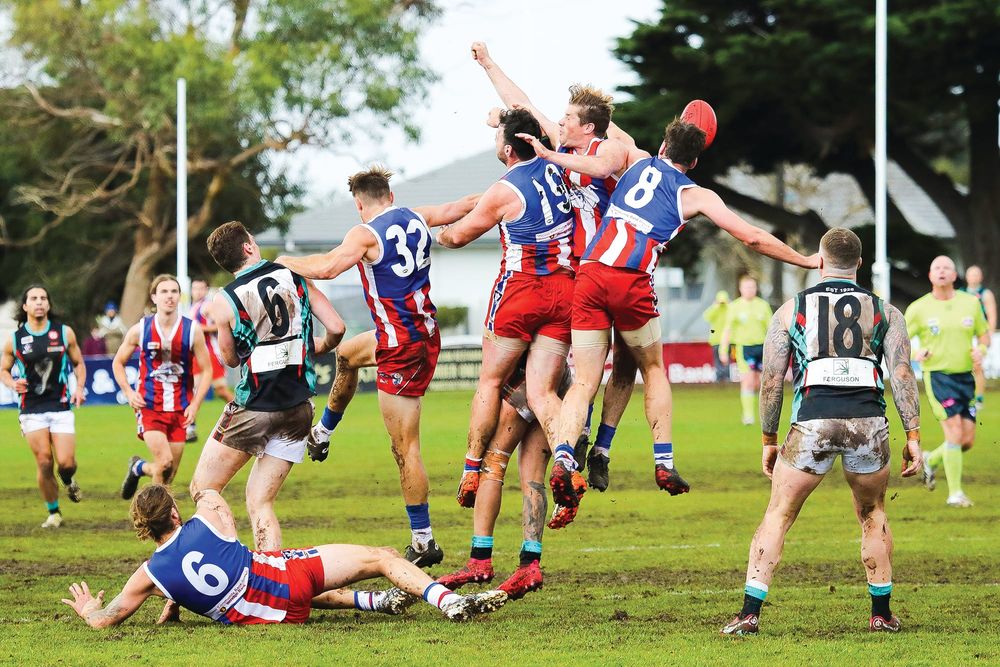 Seniors - Cobras’ sting no match for Bulldogs’ bite post image