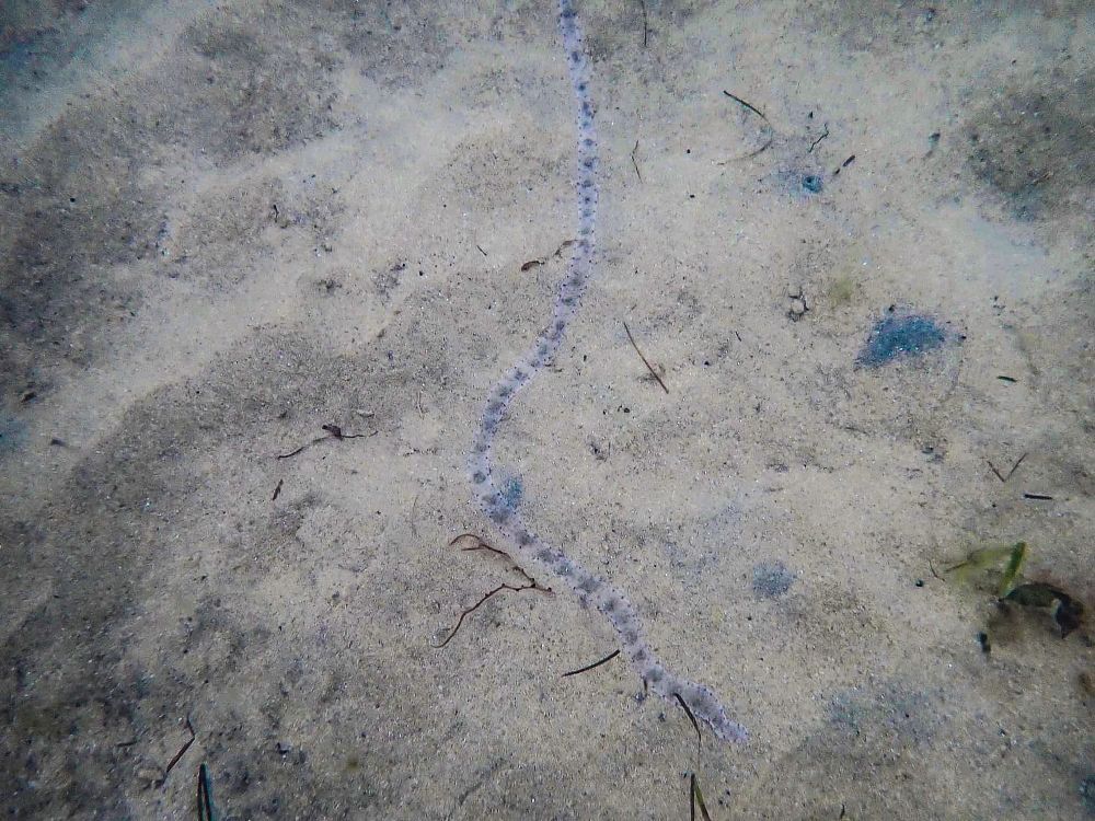 A worm’s-eye view post image