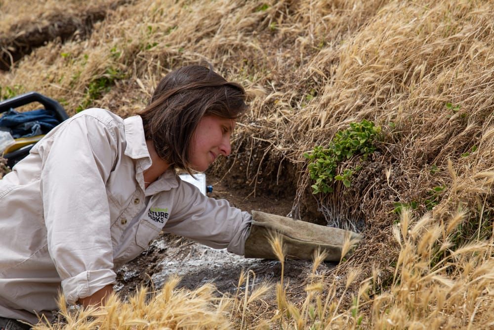 IWD 2023 - Paula Wasiak post image