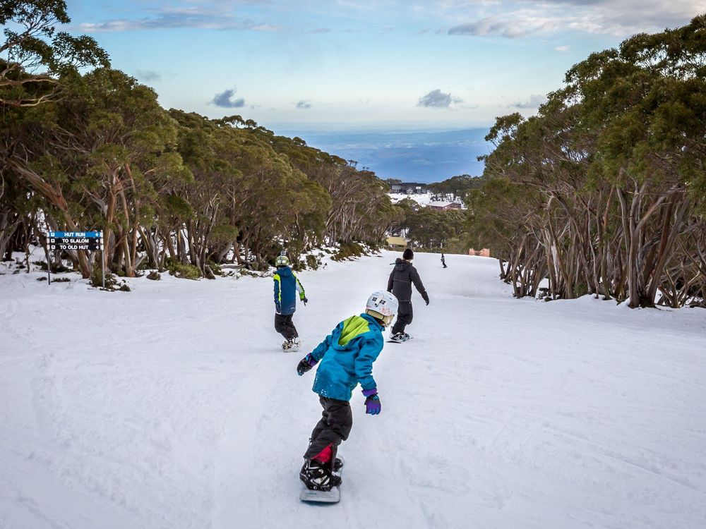 Go Gippsland – and visit your own backyard post image