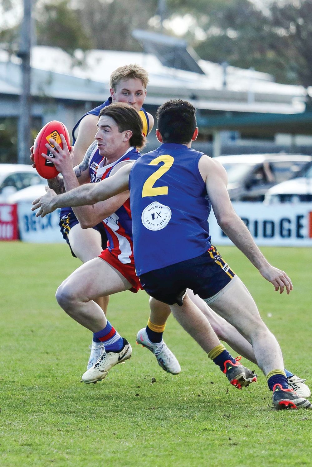 Young guns shine as Phillip Island dominates Inverloch post image