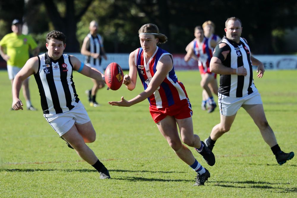 Feathers fly as Bulldogs outclass Magpies - Reserves post image