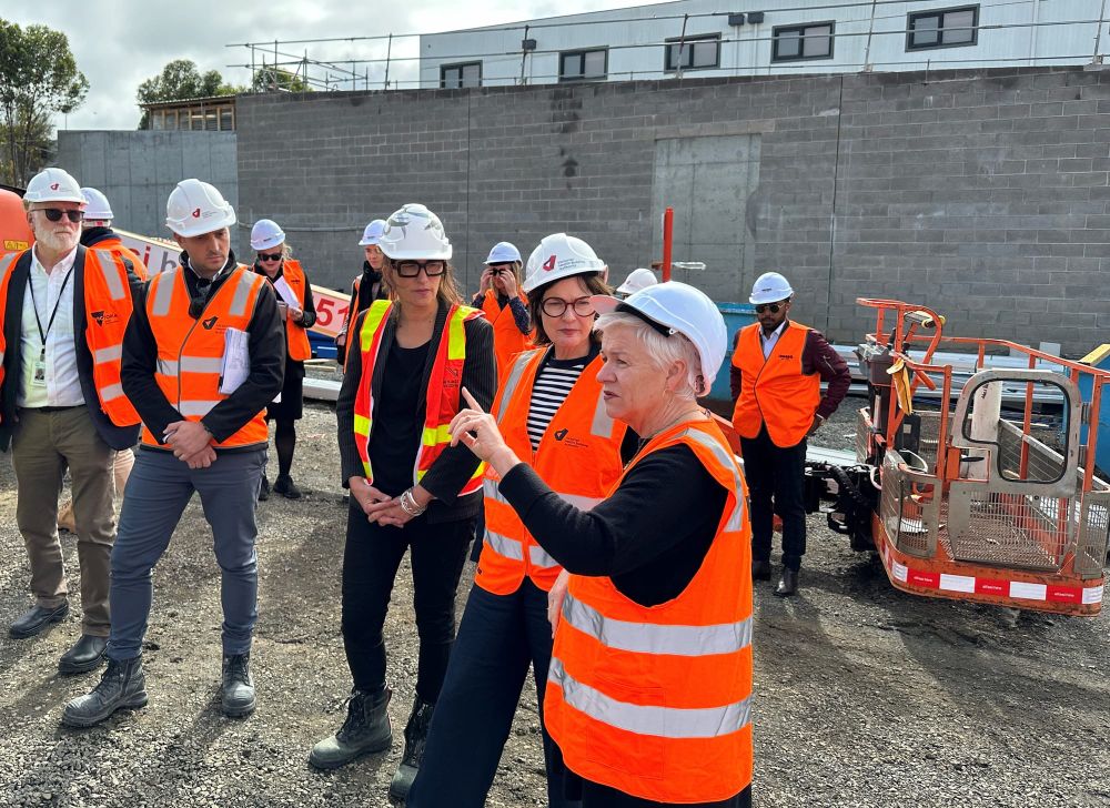Minister inspects Community Hospital construction post image