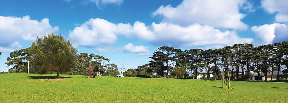 Anderson Street Reserve Master Plan to take shape post image