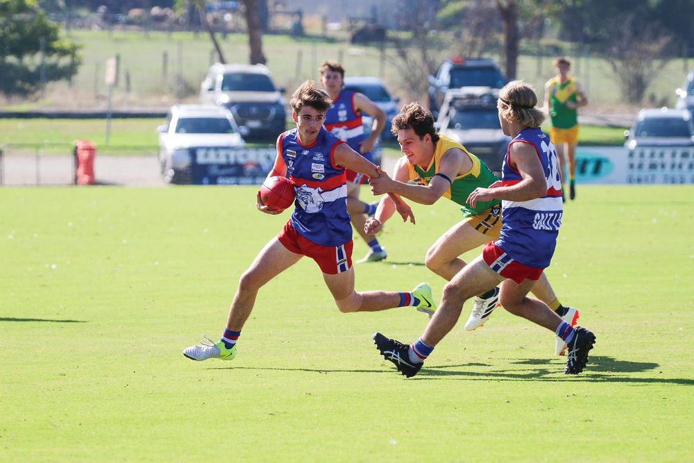 Bulldogs dominant in Round 2 clash post image