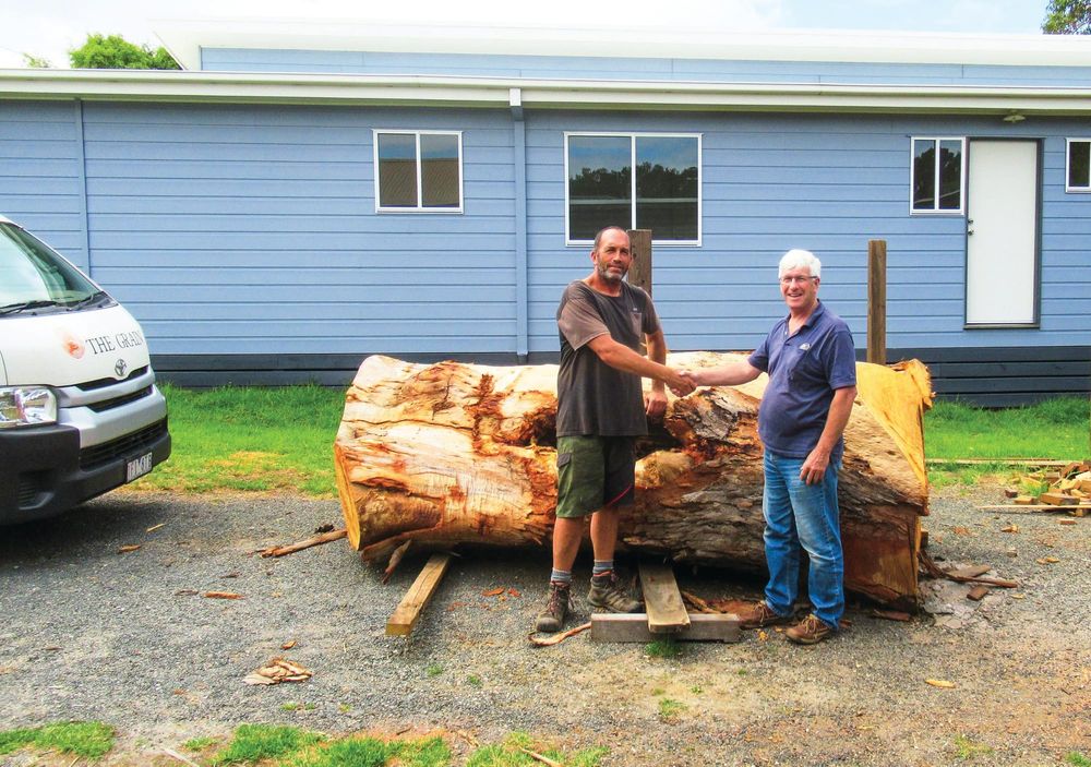 Ideas sought for “spectacular” felled timber post image