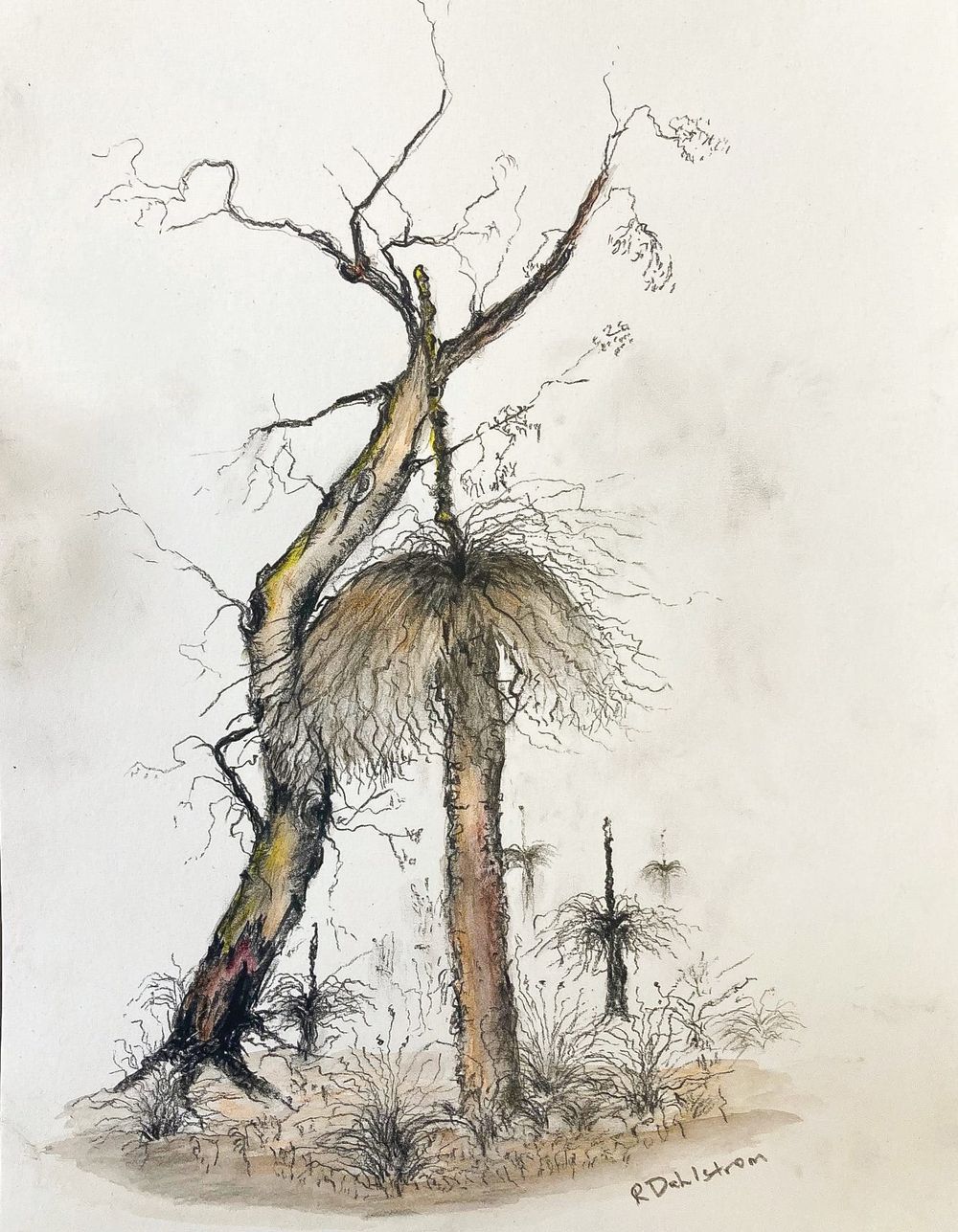 Woodlands inspired exhibition coming soon post image
