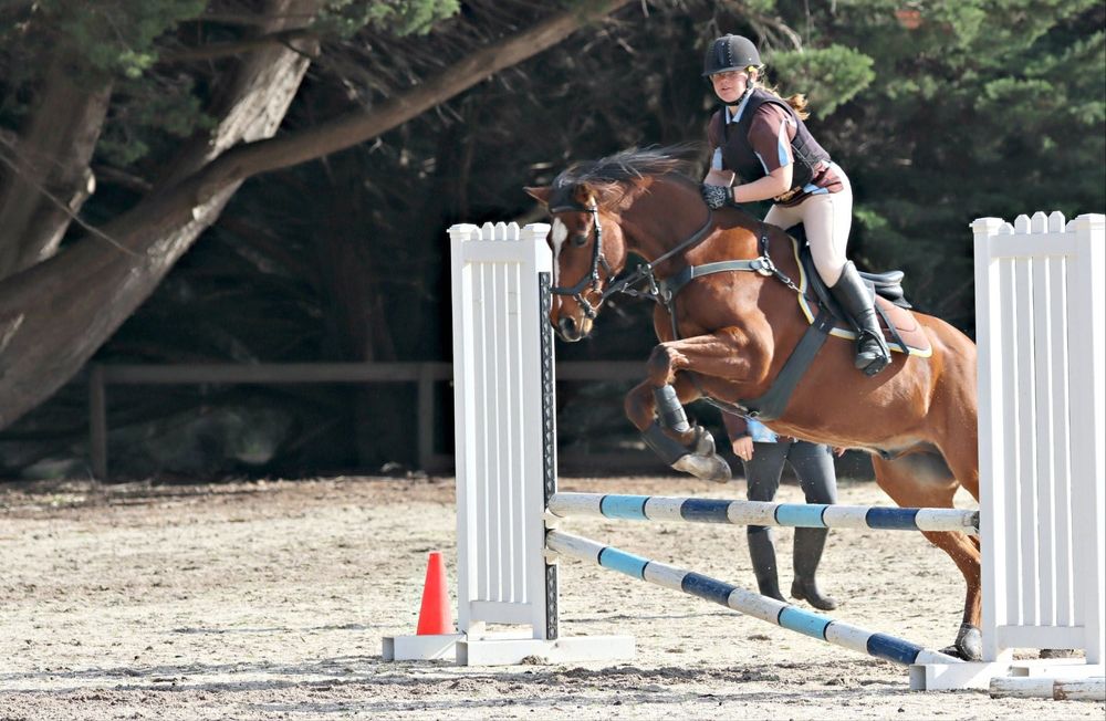 Pony Club heads to State Titles post image