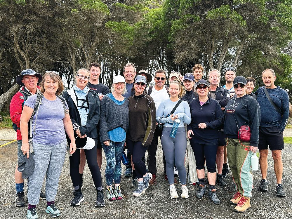 Walk to fight dementia post image