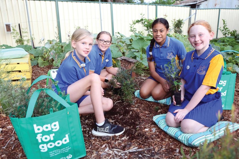 Specialist school gets Junior Landcare funding post image