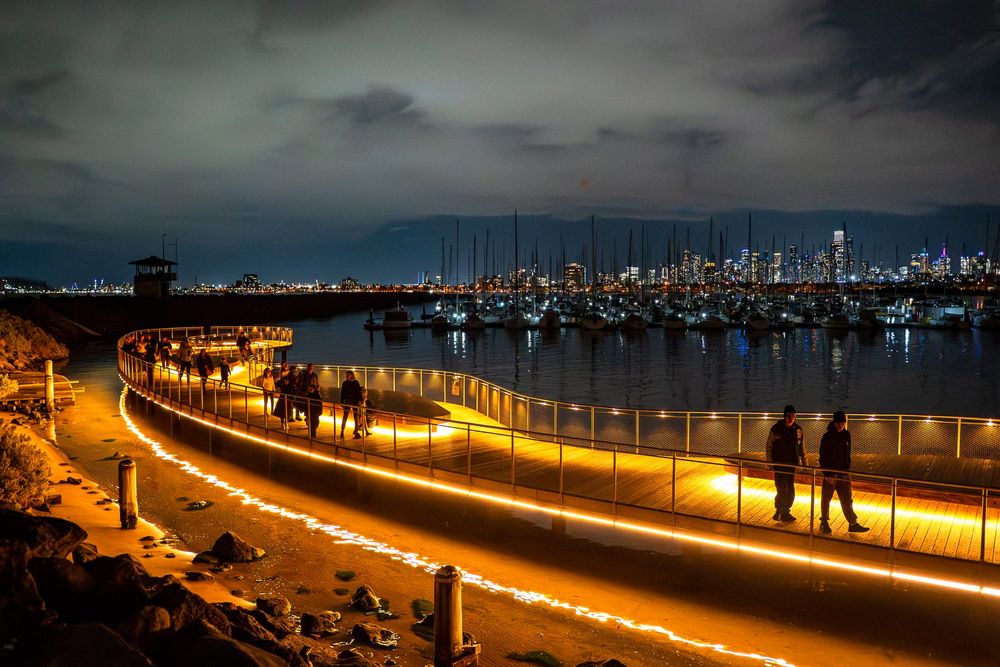 Nature Parks to manage St Kilda Penguins post image