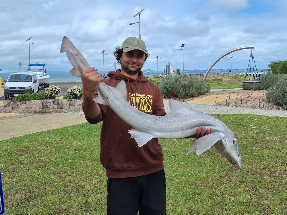 Strong catches despite wild weather post image