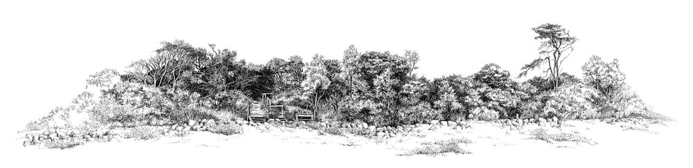 Lindy Yeates - My Island Home exhibition post image