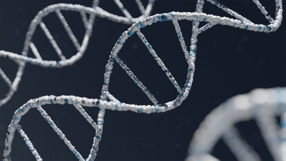 DNA and Family History post image