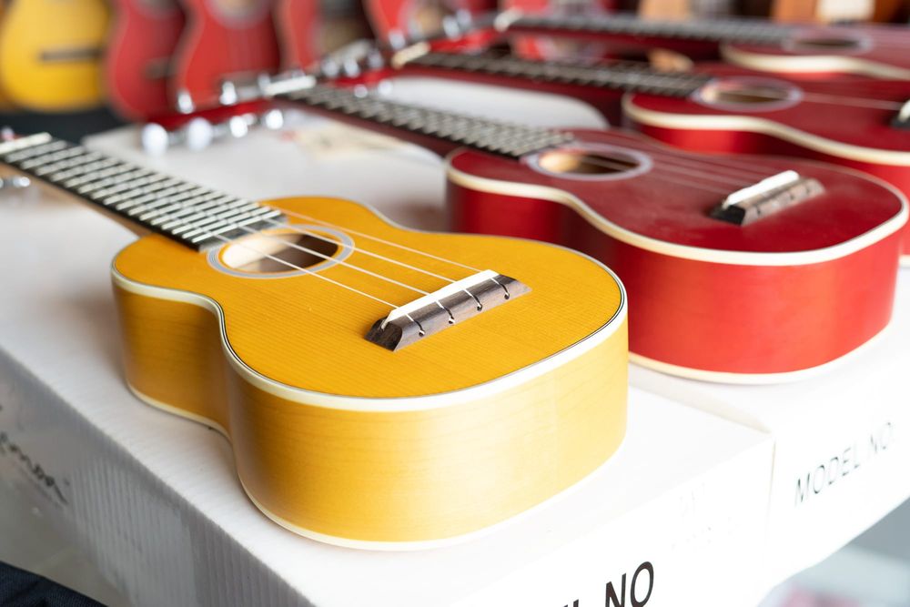 Ukulele Festival post image