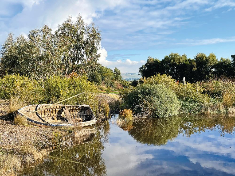 Open Garden: Eden Rise post image