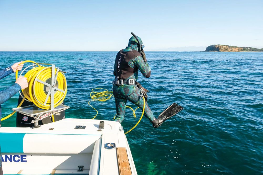 Dive into abalone and rock lobster this summer post image