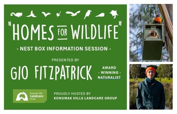 Kongwak Landcare presents: Homes for Wildlife post image