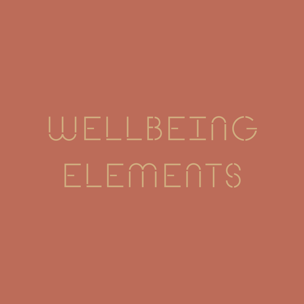Wellbeing Elements post image
