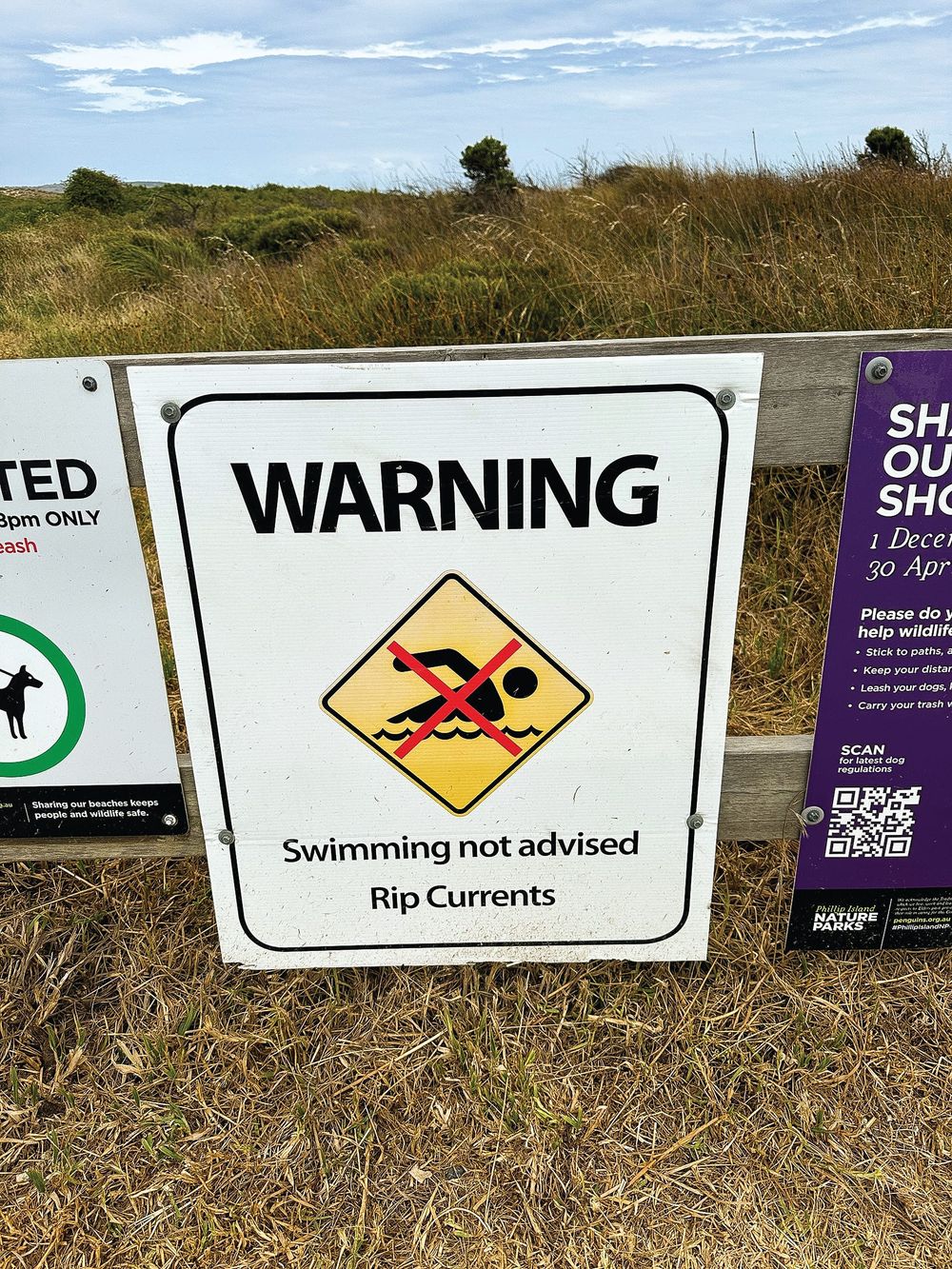 Beach Safety Research - VR session post image