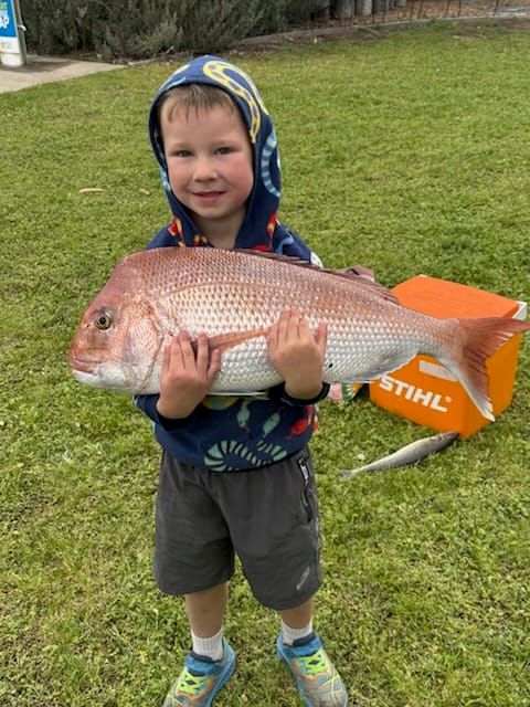 Big weekend as snapper season fires up post image