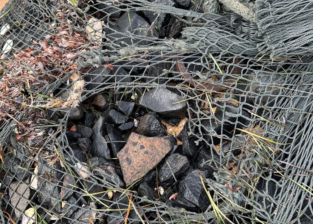 Seven months on, rock bags rip post image