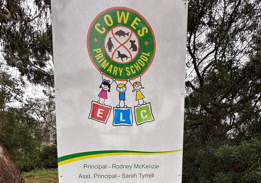 Local gold stars in NAPLAN figures post image