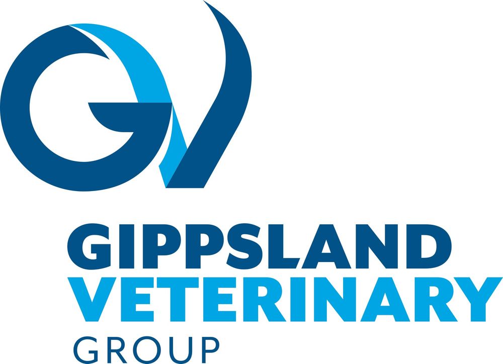 Newhaven Vet Clinic post image