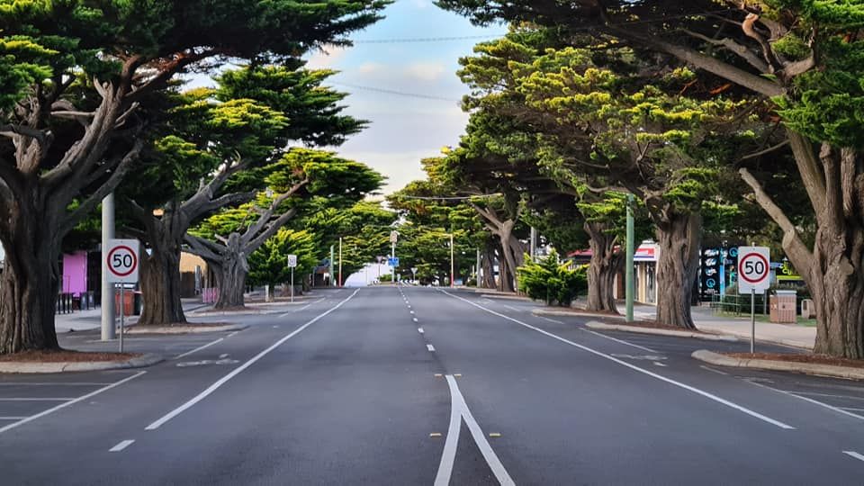 Tough laws on tree removal post image