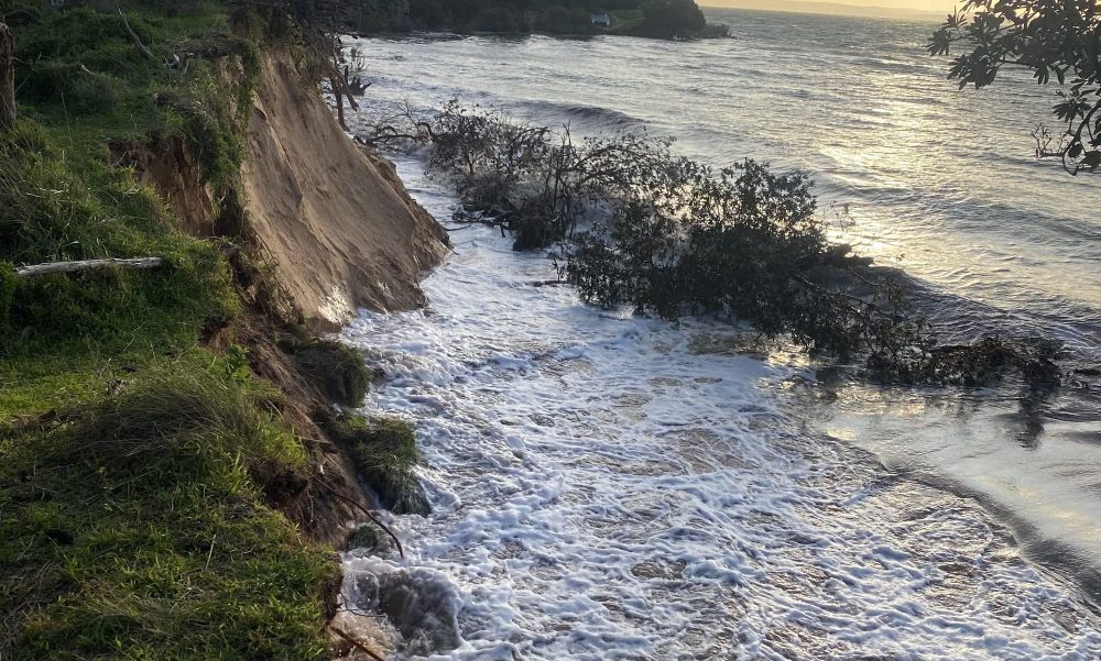 Object “if you want a land tax reduction” post image