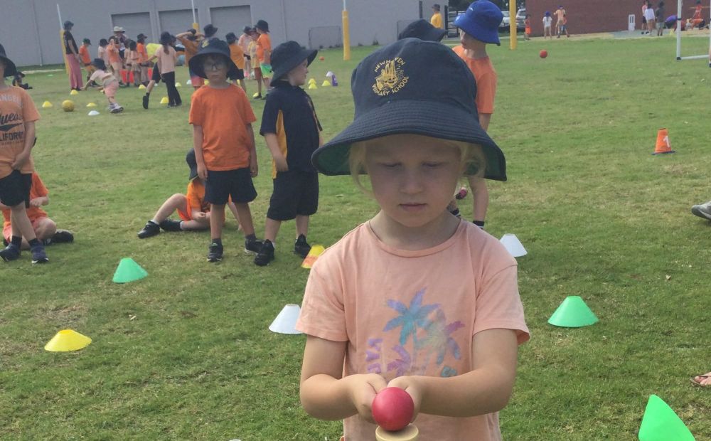 Newhaven Primary in Harmony post image