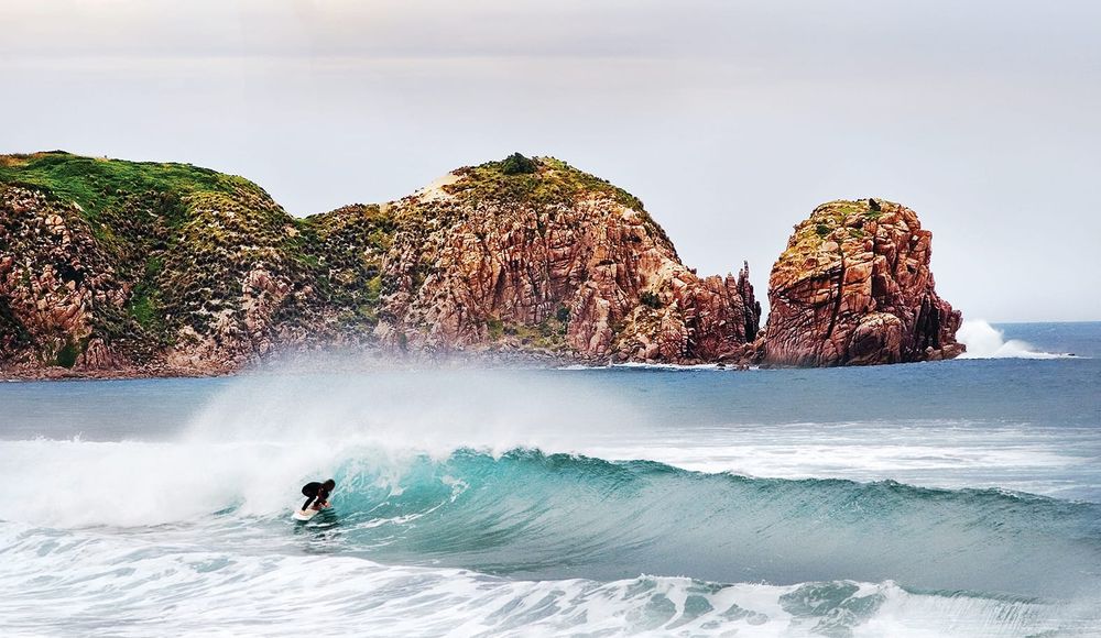 Slashing and cutting coastal, enviro bodies post image