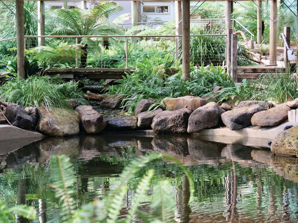 Rhyll attraction set to reopen post image