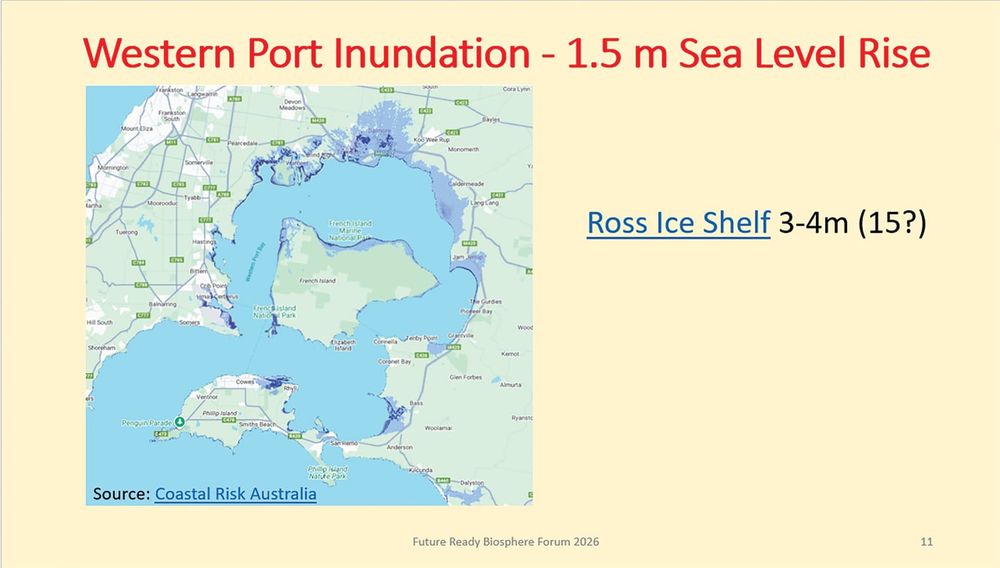Sea level rise is accelerating post image