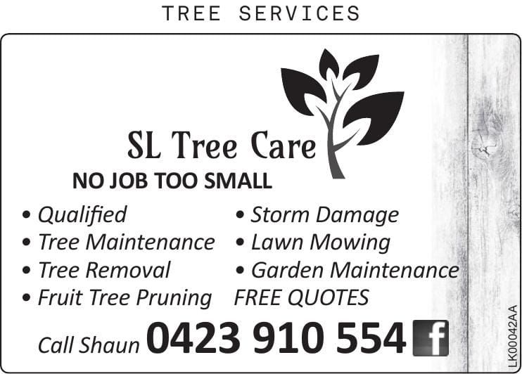 SL Tree Care post image