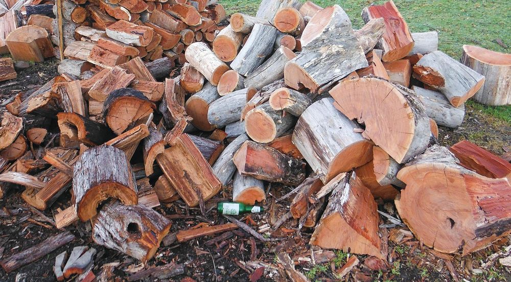 Spring firewood collection season open post image