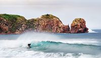 Slashing and cutting coastal, enviro bodies post image
