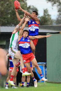 Bulldogs fly high post image