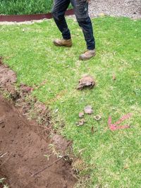 Mystery of human remains partly solved post image