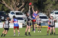 Phillip Island Reserves v Dalyston post image