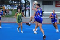 D Grade Netball post image