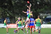 Seniors consolidate their season post image
