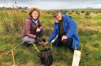 Join Landcare's 2026 planting post image