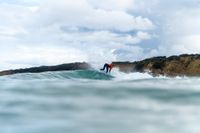 GromSearch returns to the Island post image