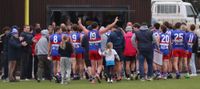 Bulldogs keep finals campaign alive post image