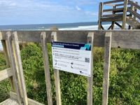 Victorian bird flu cases rise post image