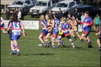 Phillip Island Juniors medley of photos 2026 post image