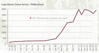 Cape Barren goose numbers plateau post image